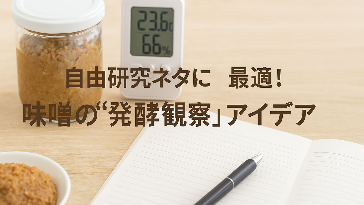 発酵観察中の味噌の瓶と温湿度計、観察ノートとペンが木のテーブルに並べられた様子。「自由研究ネタに最適！味噌の“発酵観察”アイデア」の日本語テキスト入り画像。