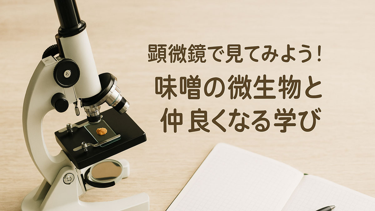木の机の上に置かれた顕微鏡と味噌のサンプルスライド、ノートとペンが並ぶ学習風景。「顕微鏡で見てみよう！味噌の微生物と仲良くなる学び」の日本語テキストが右寄りに配置された優しい雰囲気の画像。