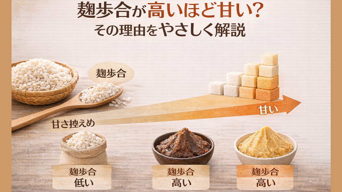麹歩合の高低によって味噌の甘さが変わる仕組みを、米麹と味噌、甘さのグラデーションでやさしく解説した図解画像